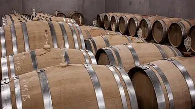 Jak zbudować piwnicę na wino w ogrodzie – praktyczny przewod
