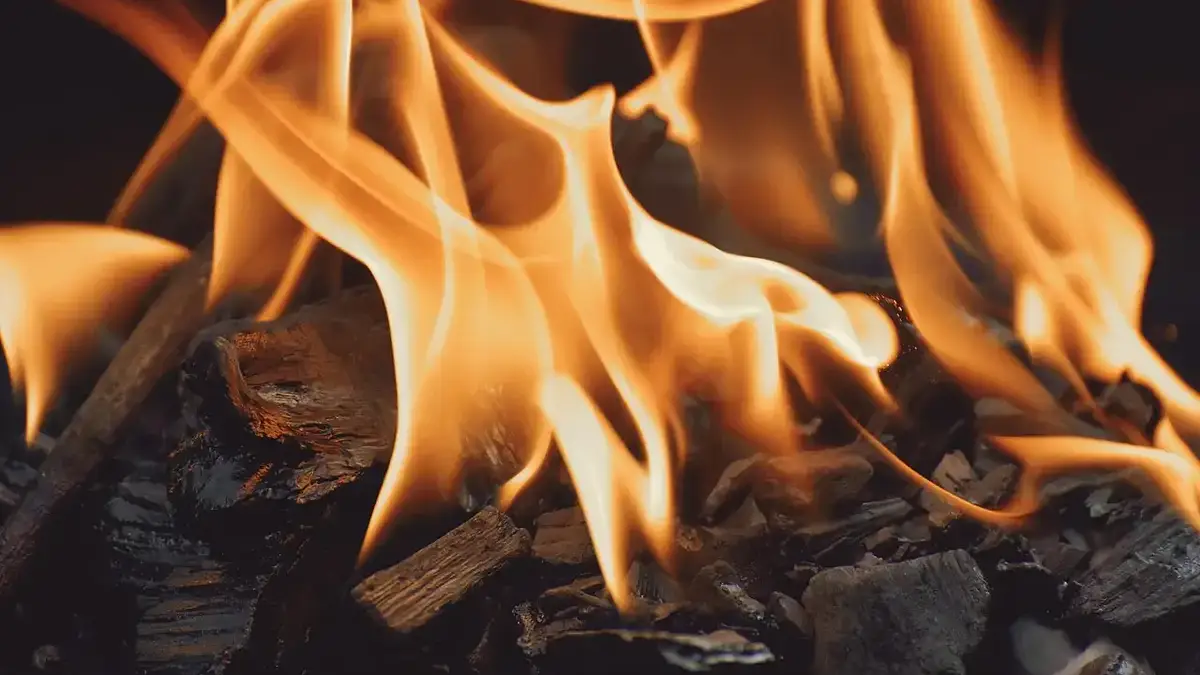 Jaki grill gazowy wybrać? Przewodnik 2024