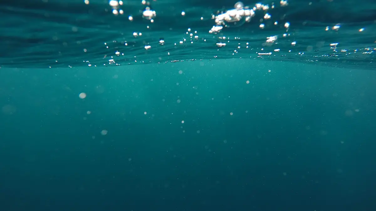 Drony podwodne ROV – nowoczesna eksploracja głębin oceaniczn