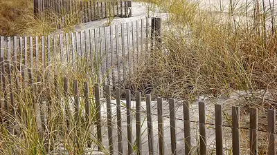 Ogrodzenia z siatki i paneli PW Janowski – trwałość i jakość