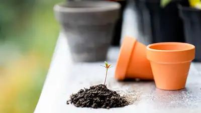 Niezbędne narzędzia do domu i ogrodu na wiosnę 2025