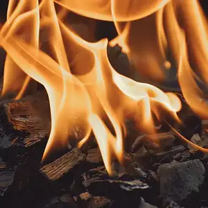 Jaki grill gazowy wybrać? Przewodnik 2024