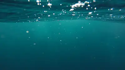 Drony podwodne ROV – nowoczesna eksploracja głębin oceaniczn